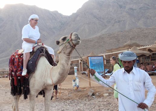 Nevidom Zdenka Borskov na velbloudu - hotel Happy Life, Dahab, Egypt